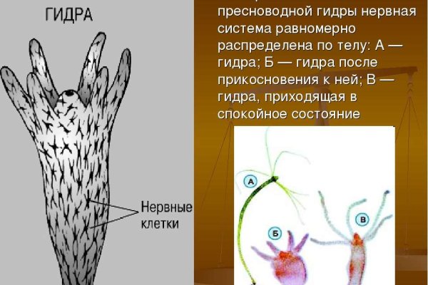 Кракен зеркало 2 веб