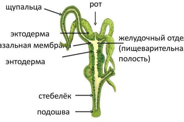 Kraken обход блокировок